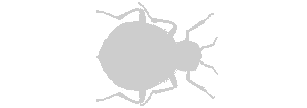 Abstract monochrome splatter shape on a black background, designed to avoid getting bed bugs.